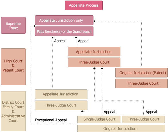 Appellate Process