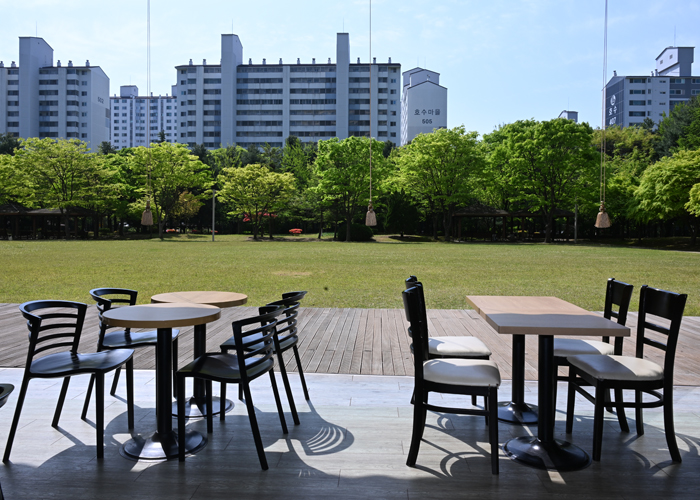 �����̹���11