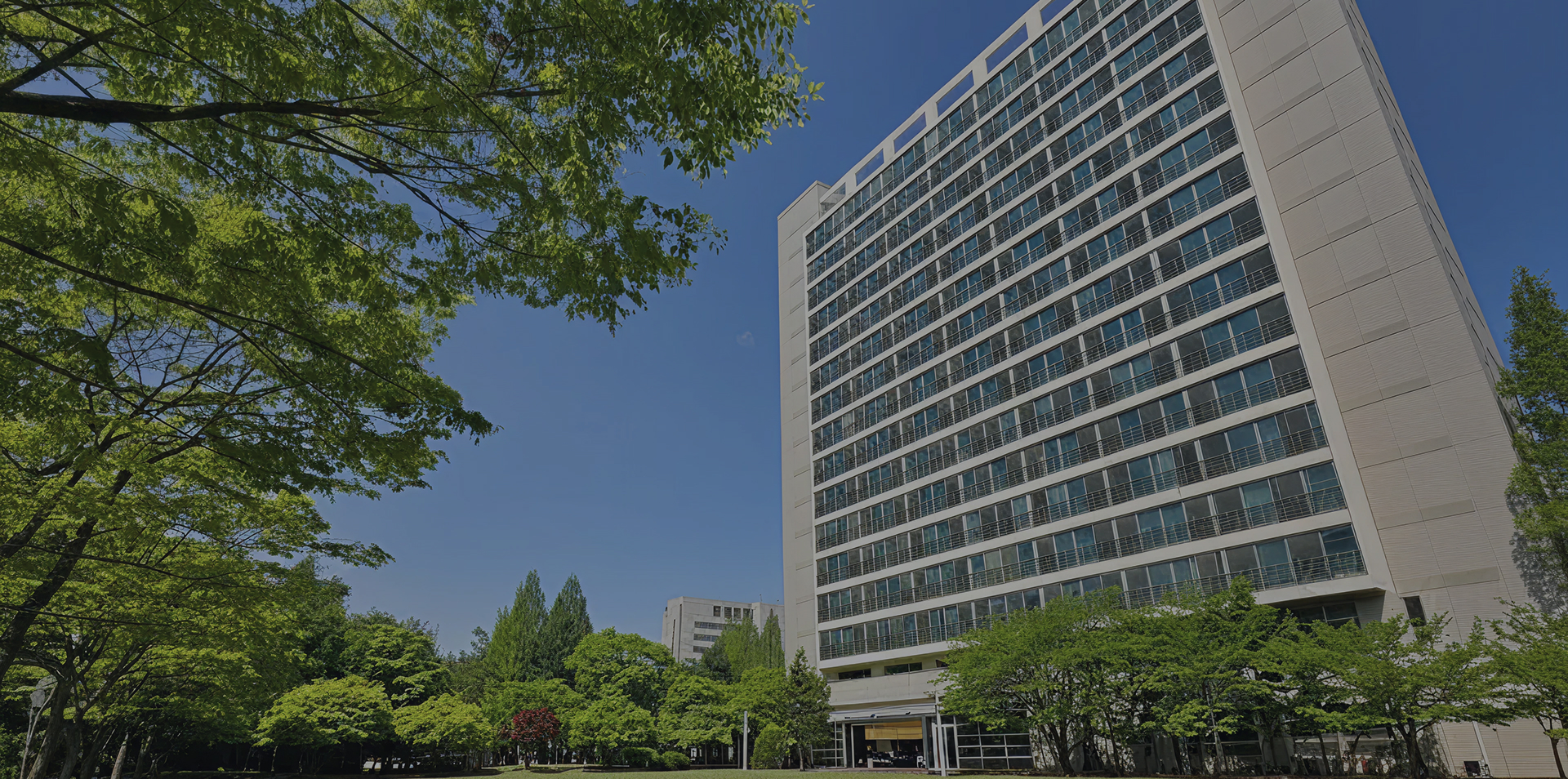 ���ν����̵�5